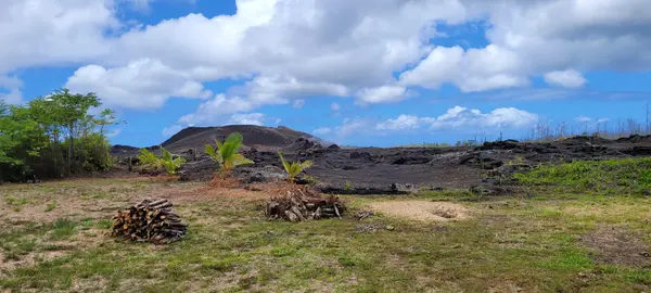 Pahoa, HI 96778,13-3557 KUPONO ST