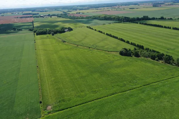 11718 McEwen DR, Middlesex Centre, ON N0M 1P0