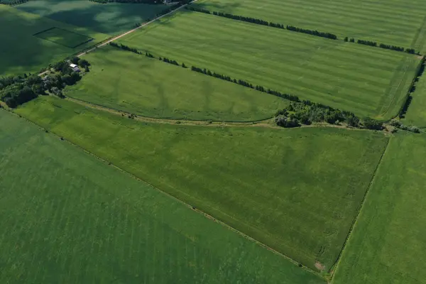 11718 McEwen DR, Middlesex Centre, ON N0M 1P0