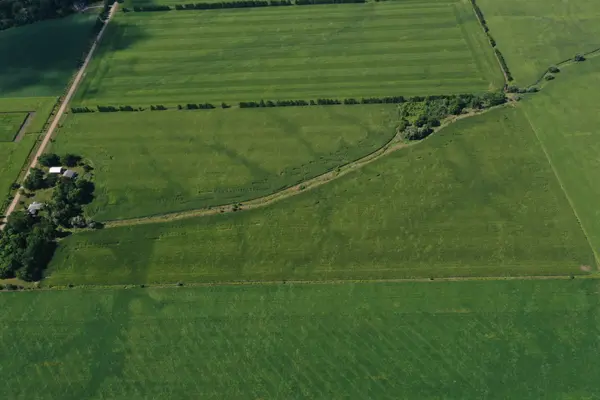 11718 McEwen DR, Middlesex Centre, ON N0M 1P0