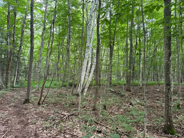 Carling, ON P0G 1G0,54 WOODS RD