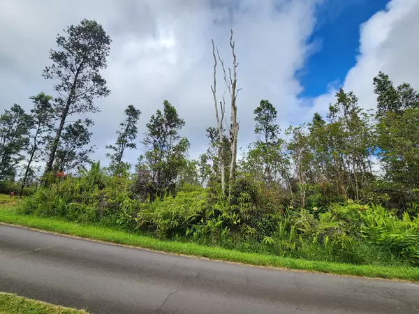 Mountain View, HI 96760,16-1793 ROAD 1 (UHINI ANA)