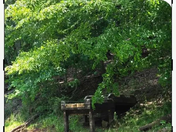 Lynch Station, VA 24571,160 Thomas CT