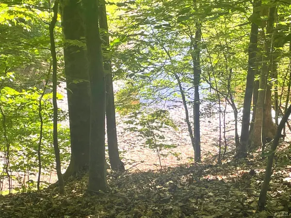 Lynch Station, VA 24571,160 Thomas CT