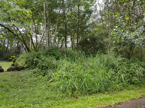CHURCH RD, Pahoa, HI 96778