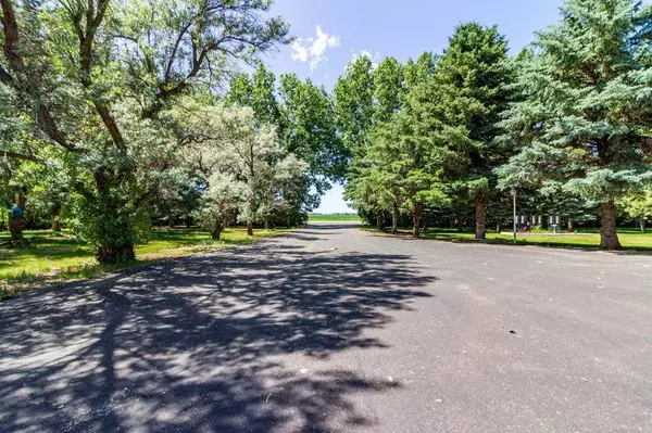 Rural Lethbridge County, AB T1k8G9,80049 RR205