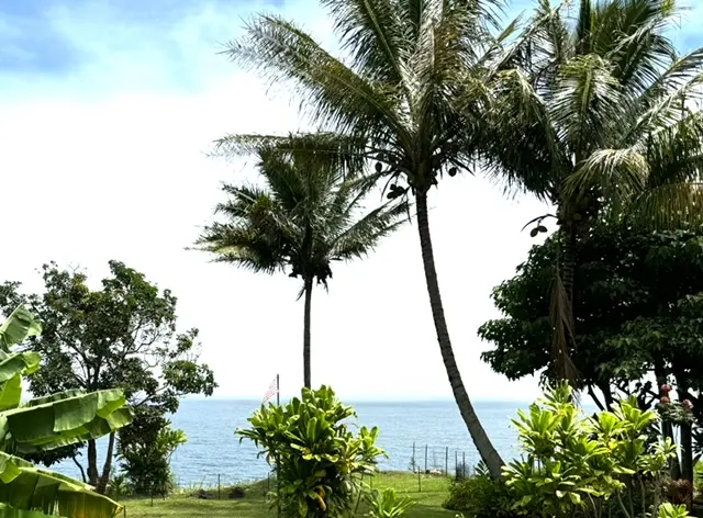 36-2624-B OLD MAMALAHOA HIGHWAY, Ookala, HI 96774