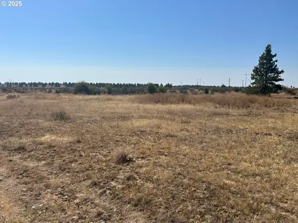 Roosevelt, WA 99356,BLK 27 26Bickleton HWY