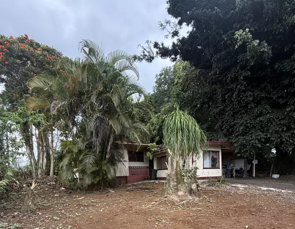 Pepeekeo, HI 96783,28-1135 OLD MAMALAHOA HIGHWAY
