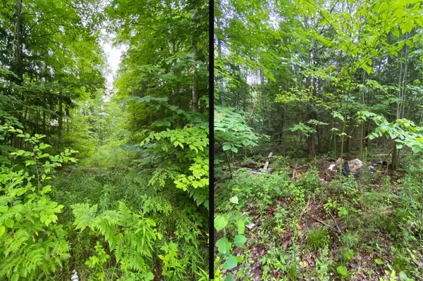 Innisfil, ON L9S 4S3,2580 6th Line