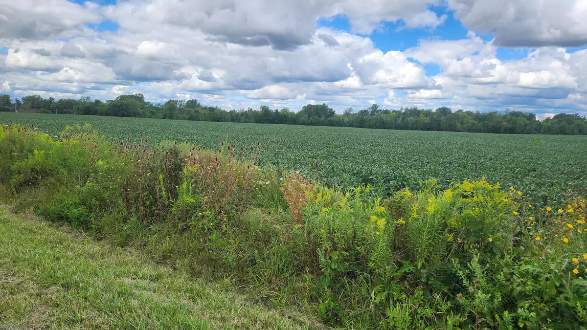 Pelham, ON L2R 6P7,2651 Wessel DR