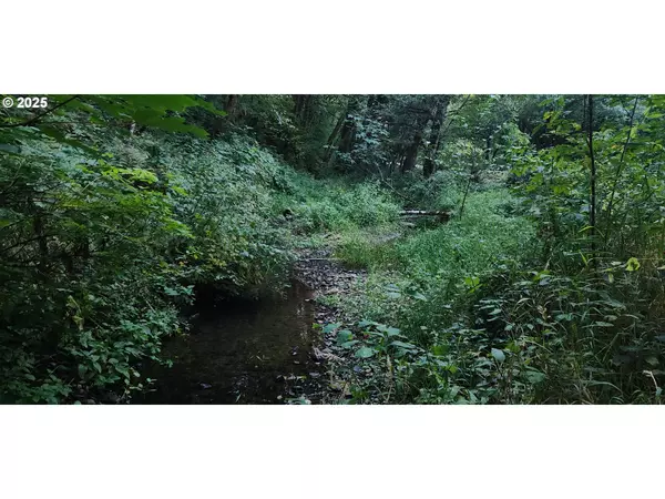 Yankton, OR 97051,31917 BROOKS RD