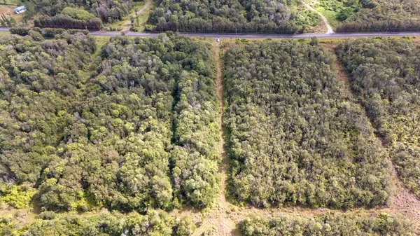 Volcano, HI 96785,GLENWOOD RD