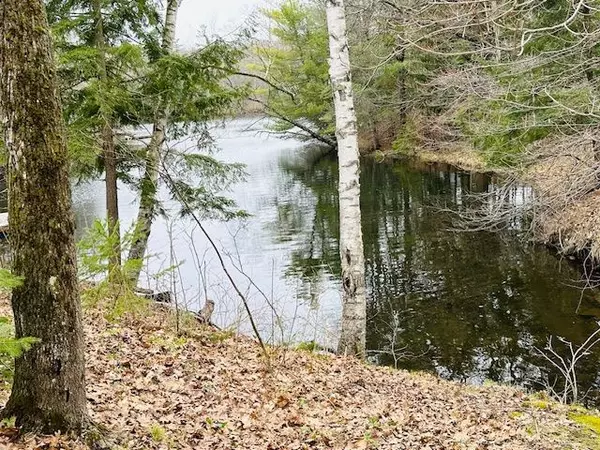 Minden Hills, ON K0M 2K0,1010 Stevens Farm CT