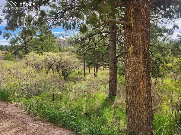 Palmer Lake, CO 80133,Buena Vista AVE