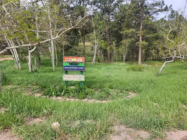 Palmer Lake, CO 80133,Buena Vista AVE