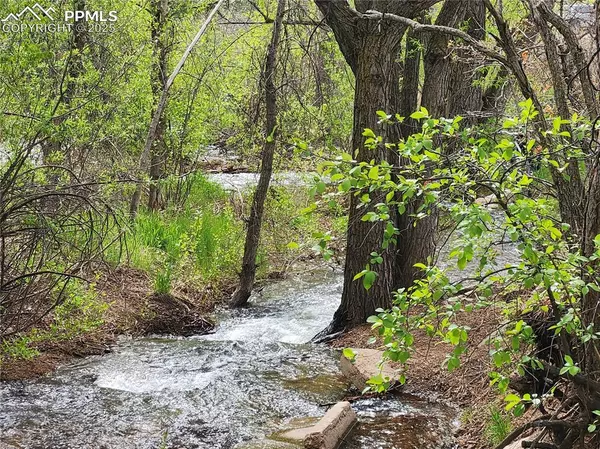 Palmer Lake, CO 80133,Buena Vista AVE