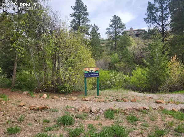 Palmer Lake, CO 80133,Buena Vista AVE