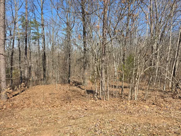 Gallipolis, OH 45631,Oak Ridge Dr