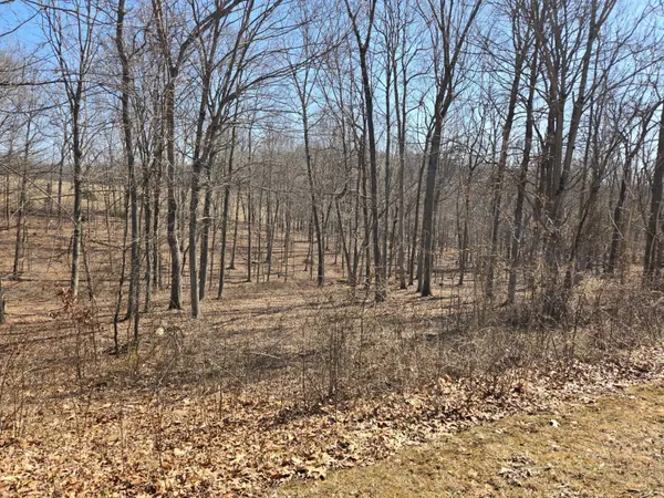 Gallipolis, OH 45631,Oak Ridge Dr