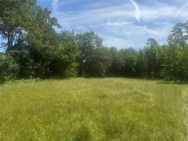 Winnsboro, TX 75494,20.869 AC CR 4426