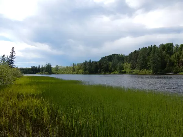 Timiskaming, ON P0J 1B0,Lot 1 CAMPBELL'S RD