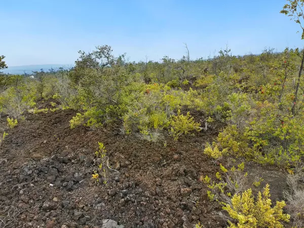 Ocean View, HI 96737,HUKILAU DR