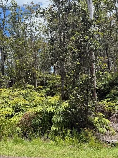 Volcano, HI 96785,11-3102-A MOKUNA ST