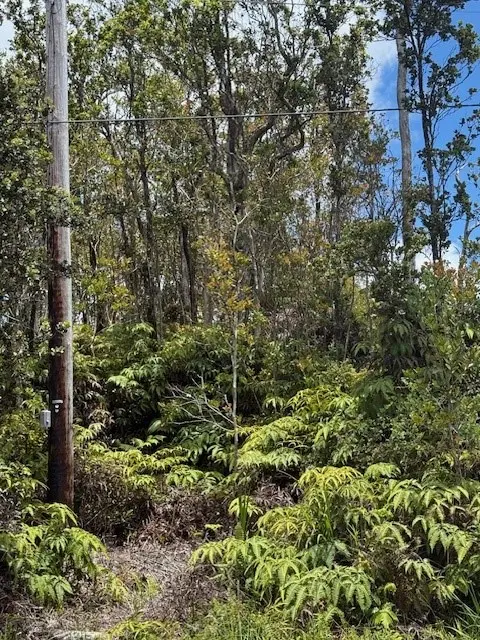 Volcano, HI 96785,11-3102-A MOKUNA ST