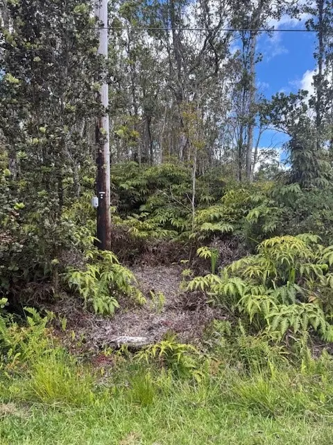 Volcano, HI 96785,11-3102-A MOKUNA ST