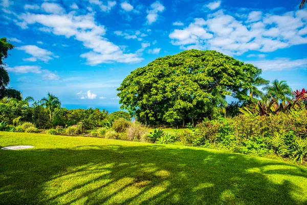 Holualoa, HI 96725,75-5792 MAMALAHOA HIGHWAY