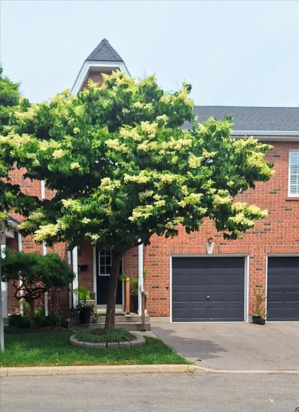 5427 Lakeshore RD #4, Burlington, ON L7L 1E1