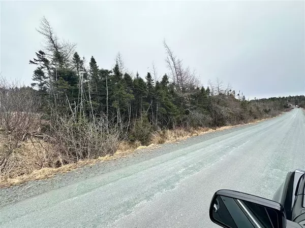 Whitbourne, NL A0B 3K0,46-49 Cottage Place