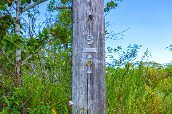 Keaau, HI 96749,29TH AVE