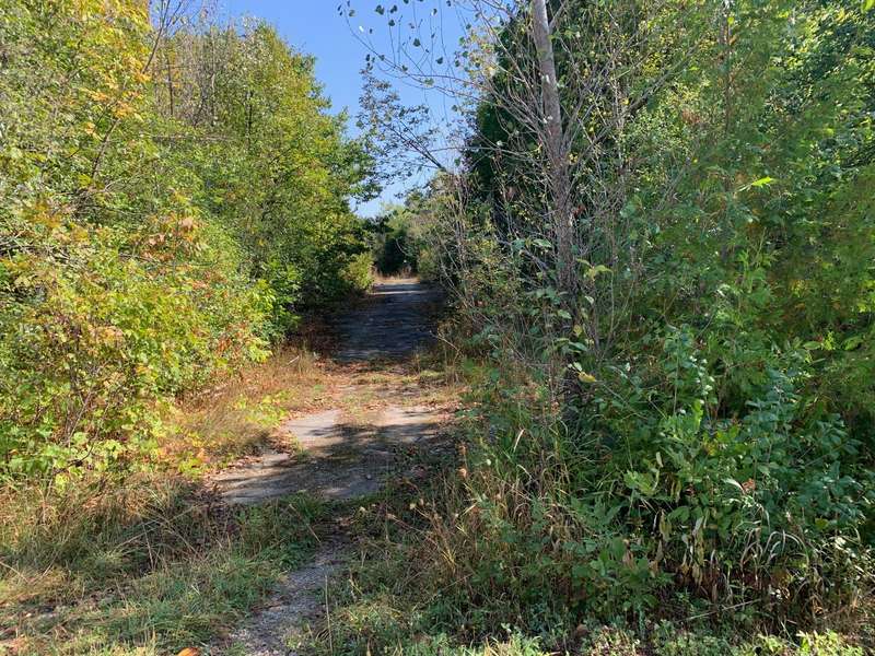 Address Not Disclosed