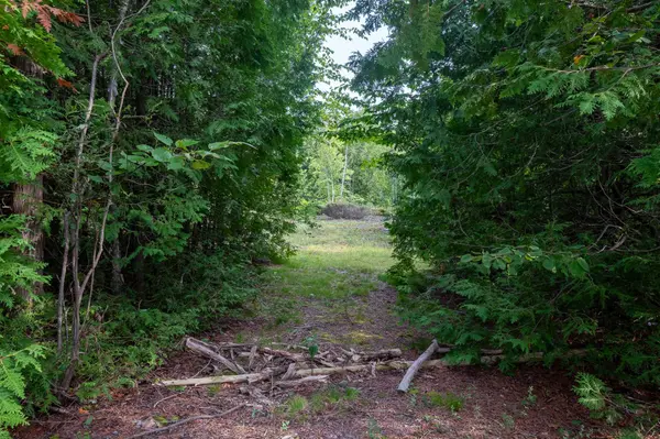 Northern Bruce Peninsula, ON N0H 1Z0,LT 36 36-37, CONC 6-7 N/A