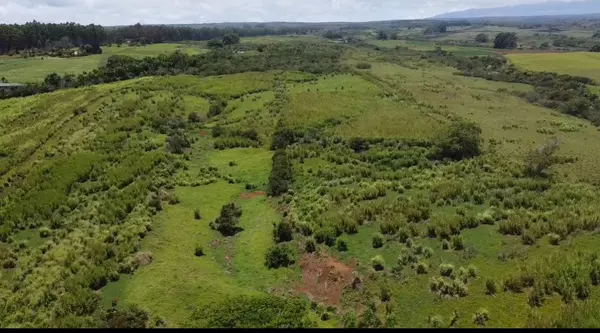 Hakalau, HI 96710,1-3 PRIVATE RD