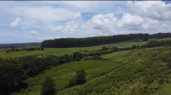 1-3 PRIVATE RD, Hakalau, HI 96710