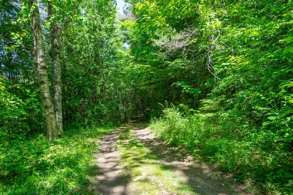 Scugog, ON L9L 1W6,71 Ward RD