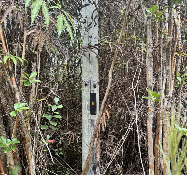 Mountain View, HI 96771,AMAKIHI ST