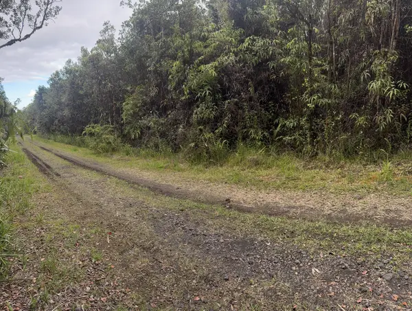 Mountain View, HI 96771,AMAKIHI ST