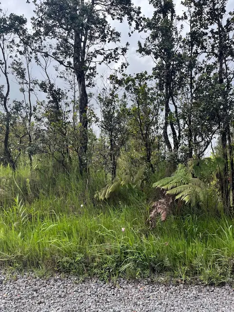 Volcano, HI 96785,OMEKA RD