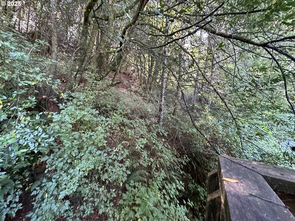 Brookings, OR 97415,99899 S Bank Chetco RD