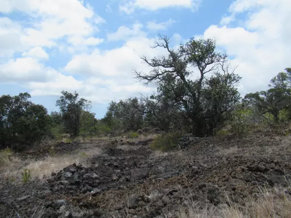 Ocean View, HI 96737,BAMBOO LN