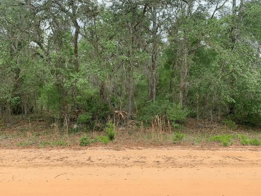 Interlachen, FL 32148,0 David Ave