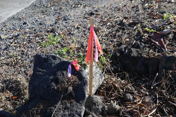 Kailua-kona, HI 96740,73-4335 HOOLANA PL