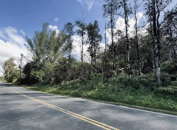 Mountain View, HI 96760,ROAD 8 (MOHO)