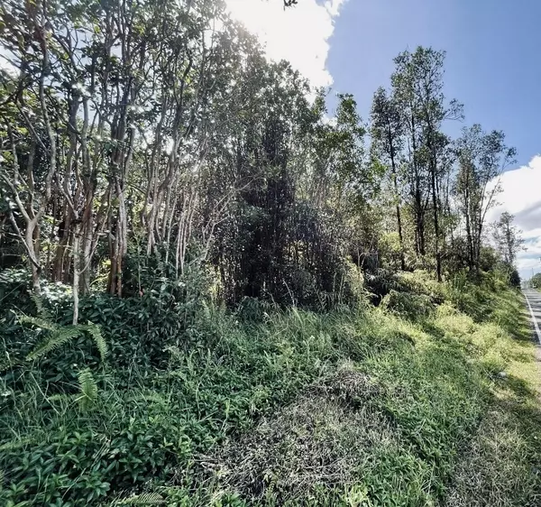 Mountain View, HI 96760,ROAD 8 (MOHO)