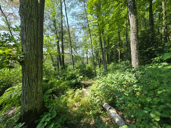 Central Frontenac, ON K0H 1B0,1255 Blue Heron RDG