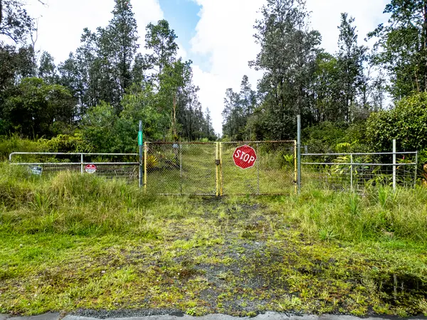 Mountain View, HI 96771,11-2831 LEHUA ST